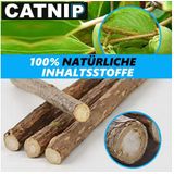 MAVURA Zahnpflege-Spielzeug CATNIP Matatabi Kauhölzer 20 Sticks Katzen Holz Katzenminze, Dental Care Zähne Katzensticks