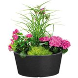 Scheurich Blumentopf 40/239 C-CONE BOWL