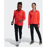 adidas Sportswear Trainingsanzug ESSENTIALS BIG LOGO (2-tlg)