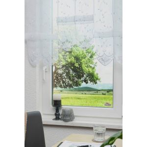 Stickereien Plauen Scheibengardine Annalena, Stangendurchzug (1 St), halbtransparent, Voile