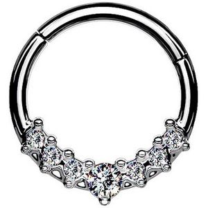 Taffstyle Nasenpiercing Septum Piercing Ring Segmentring Clicker Scharnier mit Kristallen, Nasenpiercing Nasenring Ohrpiercing Ohr Nase Tragus Helix Brust Intim