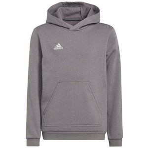 adidas Performance Sweatshirt adidas Performance Entrada 22 Hoody Kids Kinder Baumwolle