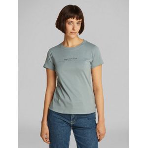 Calvin Klein Jeans Rundhalsshirt INSTITUTIONAL GRAPHIC SLIM TEE mit Logodruck