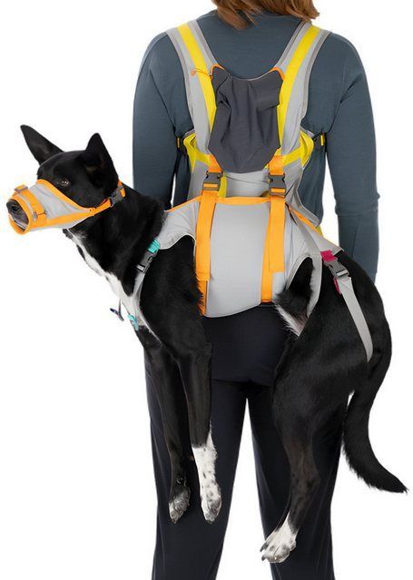 Ruffwear Sicherheitsgeschirr Notfallausrüstung BackTrak Dog Evacuation Kit Cloudburst Gray