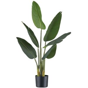 Kunstpflanze Strelitzia nicolai ca 90cm, im Kunststofftopf 15x13cm, m.Erde, Fuchs Versand 24/7