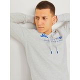 Jack & Jones Kapuzensweatshirt JJALVIS SWEAT HOOD