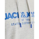 Jack & Jones Kapuzensweatshirt JJALVIS SWEAT HOOD