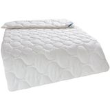 Beco Microfaserbettdecke Lokken, Bettdecke, nachhaltige Decke, allergiker geeignet, Füllung: Polyester, Bezug: Microfaser-Feinbatist uni, samtweich, Bettdecke in 135x200 cm, 155x220 cm, 200x200, Sommer, Winter