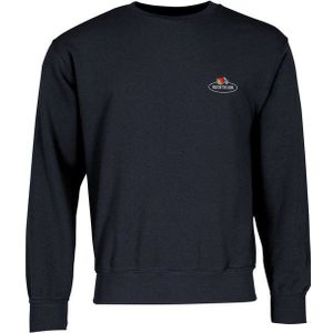 Fruit of the Loom Sweatshirt Sweatshirt mit Vintage-Logo