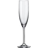 Daily Champagneglas 20 cl