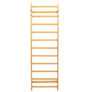 Vintage Gym Wall Bars / Wandrek