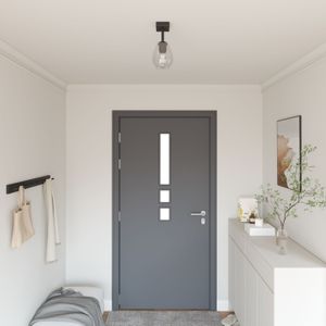 vidaXL Deckenleuchten mit Verstellbarem Glasschirm Anthrazit E27