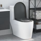 vidaXL Toilettensitz Quick Release Absenkautomatik Duroplast Anthrazit