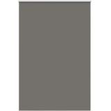 vidaXL Verdunkelungsrollo Grau 145x210cm Stoffbreite 141,6cm Polyester
