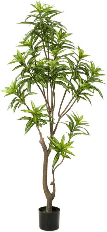 Emerald Künstlicher Drachenbaum 155 cm Grün