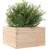 vidaXL Pflanzkübel 80x80x45,5 cm Massivholz Kiefer