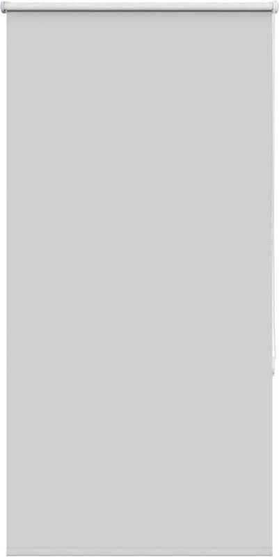 vidaXL Verdunkelungsrollo Hellgrau 65x130 cm Stoffbreite 60,7 cm