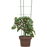 vidaXL Pflanzenstützen mit 3 Ringen 5 Stk. Grün 60 cm Stahl