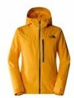 Ski Jas The North Face Men Descendit Summit Gold-XL