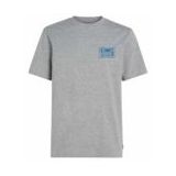 O'Neill - Beach Graphic T-Shirt - Zilver Melee - 100% Katoen