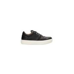 Shabbies Amsterdam Women Ragy Sneaker Low Black-Schoenmaat 41