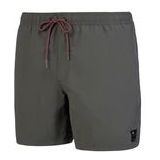 Beachshort Protest Men Fast Grey Green-XS