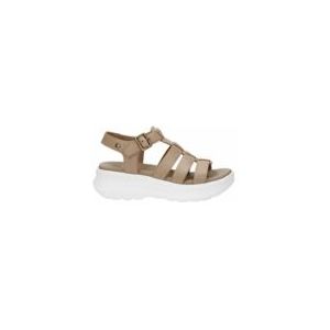 Sandaal Panama Jack Women Naila B4 Taupe-Schoenmaat 40