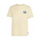 O'Neill - Beach Graphic T-Shirt - Paris Daisy - 100% Katoen