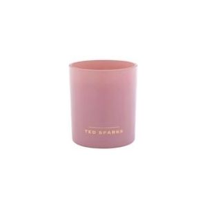 Geurkaars Ted Sparks Demi Cypress & Cardamom Purple