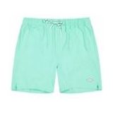 Barts - Alroy Shorts - Zwembroek - Light Celadon