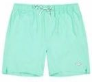 Barts - Alroy Shorts - Zwembroek - Light Celadon