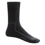 Sok Icebreaker Men Hike Cool Lite 3Q Crew Jet Heather Monsoon-Schoenmaat 47 - 49