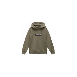 Napapijri - B-Chamois - Hoodie - Groen - Regular Fit