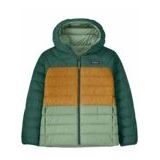 Jas Patagonia Kids Reversible Down Sweater Hoody Ellwood Green-L