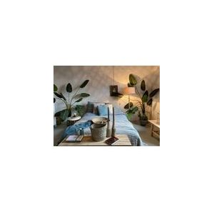 Dekbedovertrek Passion for Linen Maxime Ocean Green Linnen-140 x 200 / 220 cm | 1-Persoons