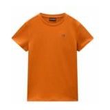 NAPAPIJRI Shirt 'Salis'  oranje