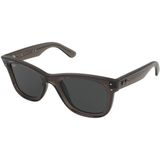 Zonnebrillen Ray-Ban Wayfarer Reverse RBR0502S 6707GR