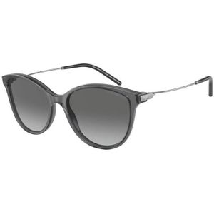 Zonnebrillen Emporio Armani EA4220 610611