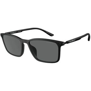 Zonnebrillen Emporio Armani EA4223U 500187