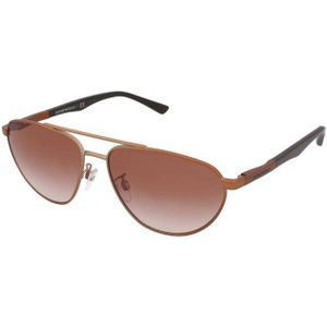 Zonnebrillen Emporio Armani EA2125 300413