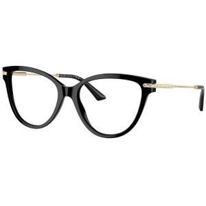Brillen met correctie Jimmy Choo JC3001B 5000