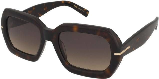 Zonnebrillen Hugo Boss Boss 1732/G/S 086/PR