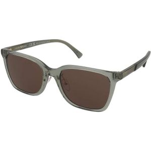 Zonnebrillen Emporio Armani EA4226D 5362/73