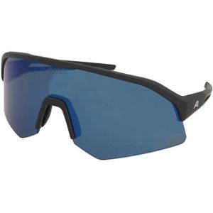 Zonnebrillen Alpina Sonic HR Q-Lite Black Matt/Blue Mirror