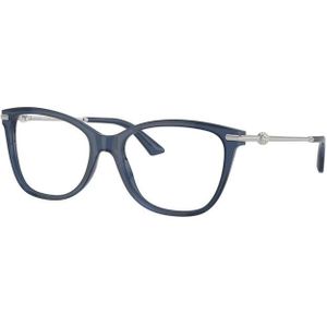 Brillen met correctie Jimmy Choo JC3007HB 5035