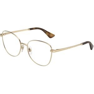 Brillen met correctie Dolce & Gabbana DG1355 1365