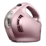 DC 12V 100W vier in een draagbare auto band pomp opblaasbare pomp (rose goud)