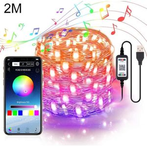 2m 20 LEDs USB Bluetooth Music RGB Light