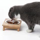 Bamboe en hout keramische cat bowl huisdier leveringen  specificatie: Single Bowl