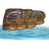 Groot water schildpad zon terras drijvende eiland calcium supplement zon terug klimmen platform